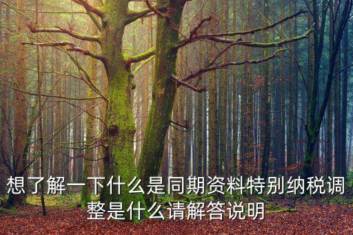關(guān)聯(lián)申報同期資料是什么，想了解一下什么是同期資料特別納稅調(diào)整是什么請解答說明