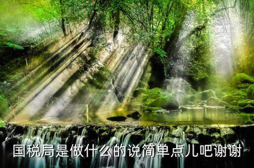 什么是國際稅務(wù)局，國際稅務(wù)是什么