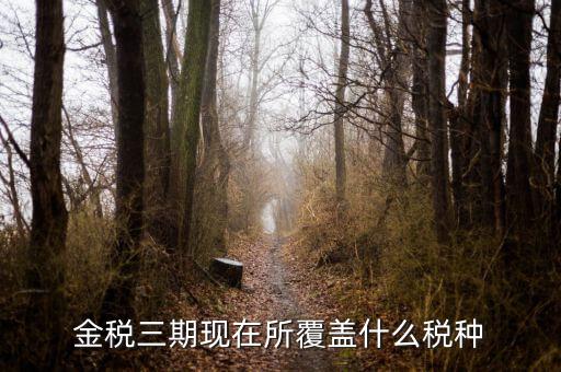 金三稅務(wù)系統(tǒng)報什么稅，金三系統(tǒng)怎樣申報企業(yè)所得稅稅收優(yōu)惠