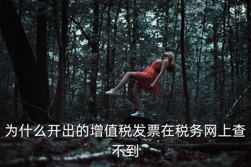 為什么我查不到發(fā)票，開了發(fā)票為什么在國稅官網(wǎng)上查詢不到