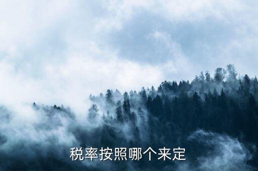什么人定的稅收預(yù)測準(zhǔn)確率，稅率按照哪個(gè)來定