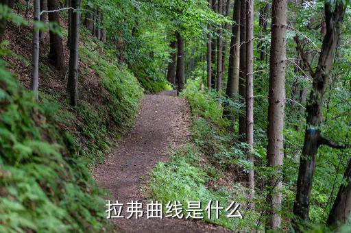 什么是稅畫，求稅收杯繪畫要是什么主題啊
