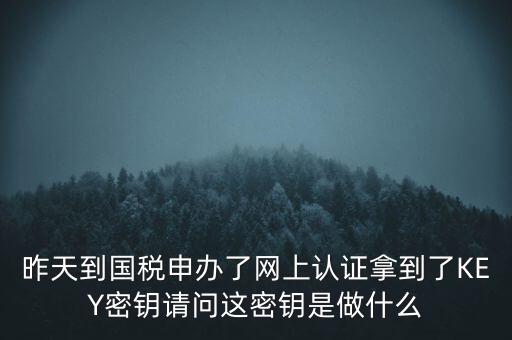 稅務(wù)認(rèn)證密碼是什么，昨天到國稅申辦了網(wǎng)上認(rèn)證拿到了KEY密鑰請(qǐng)問這密鑰是做什么