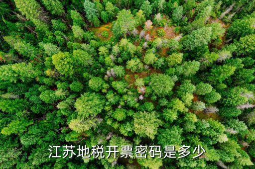 江蘇地稅用戶初始密碼是什么，江蘇地稅開票密碼是多少