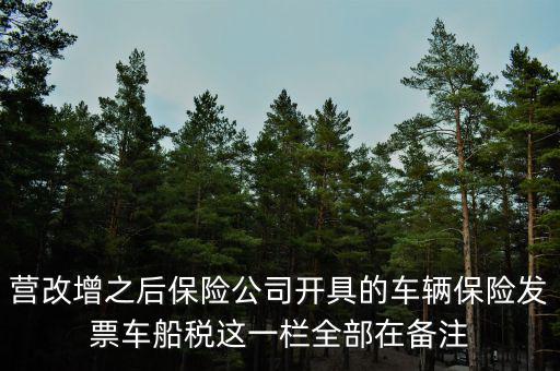 營(yíng)改增之后保險(xiǎn)公司開(kāi)具的車(chē)輛保險(xiǎn)發(fā)票車(chē)船稅這一欄全部在備注