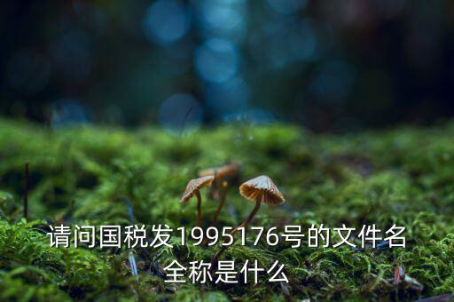 國稅初始化文件是什么字頭，稅務申報材料初始化是什么意思