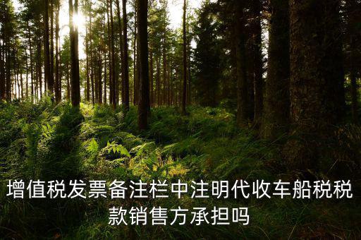 增值稅發(fā)票備注欄中注明代收車(chē)船稅稅款銷(xiāo)售方承擔(dān)嗎