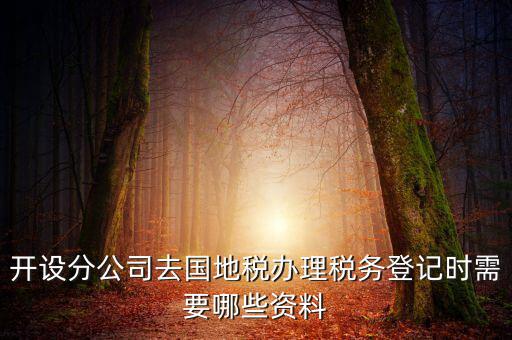 分公司地稅辦理需要什么材料，辦理分公司的稅務(wù)登記證需要準備哪些資料