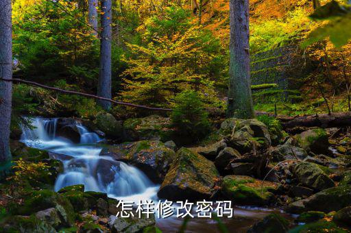 怎樣改國(guó)稅密碼是什么，山東省國(guó)家稅務(wù)局網(wǎng)上辦稅平臺(tái)納稅人的密碼怎么改