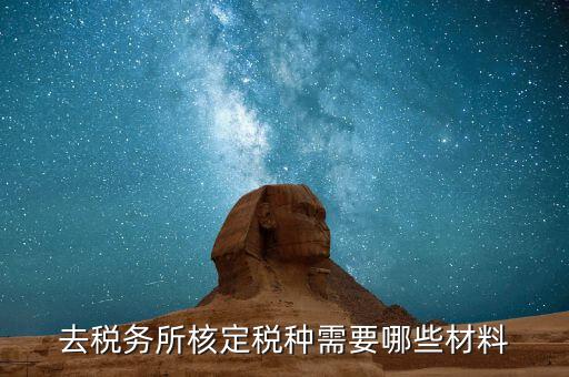 國稅票種核定需要什么，哪些情況下要進行國稅票種核定