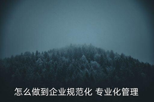 專業(yè)化公司如何管理，專業(yè)化企業(yè)的建議