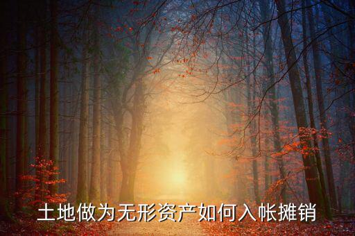 土地如何攤銷(xiāo)，土地做為無(wú)形資產(chǎn)如何入帳攤銷(xiāo)