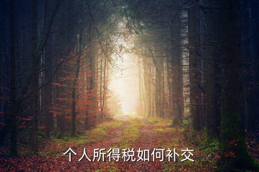 個稅如何補繳，個人所得稅如何補交