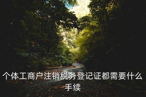 臨時稅務(wù)登記證如何注銷，稅務(wù)證怎樣去注銷需要甚么程序