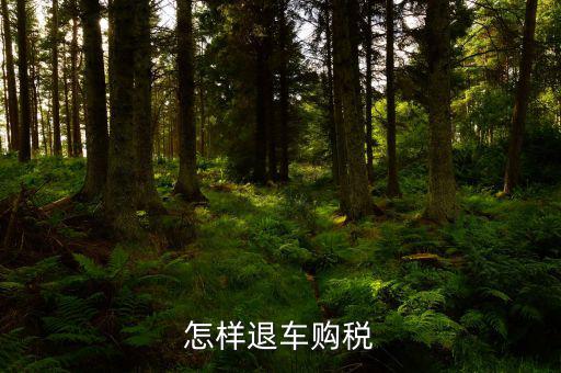車輛購(gòu)置稅如何退稅，怎么退車輛購(gòu)置稅