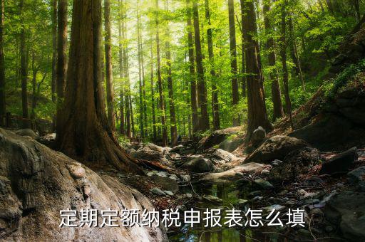 2萬定期定額戶如何申報，個體工商戶稅收定期定額征收怎樣申報