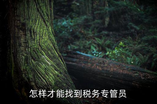 如何查詢辦稅人員，誰能告訴我不去稅務局怎么樣查詢專管員