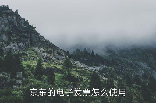 電子發(fā)票如何用，電子客票如何用