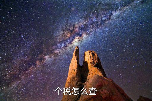 個稅怎么查