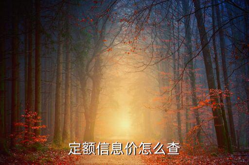 如何查定額，工程定額在哪里能找到啊