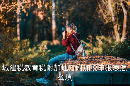 新城建稅附加表如何填，網(wǎng)上申報城建稅教育附加稅怎么填