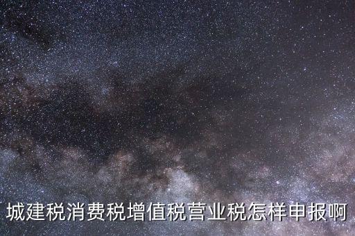 消費(fèi)稅如何納稅申報，小汽車消費(fèi)稅納稅如何申報