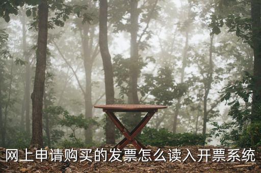 網(wǎng)上領(lǐng)票如何讀入，網(wǎng)上申請(qǐng)購(gòu)買的發(fā)票怎么讀入開票系統(tǒng)