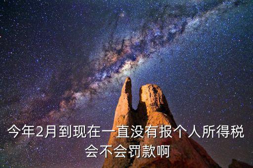 個(gè)稅申報(bào)不報(bào)會(huì)如何，個(gè)人所得稅自行申報(bào)不去做有什么危害