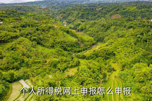個人所得稅網(wǎng)上申報(bào)怎么申報(bào)