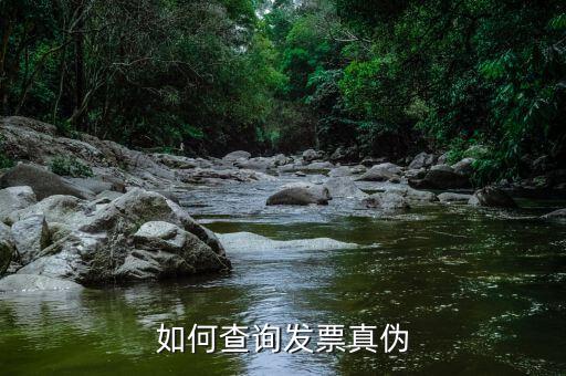 發(fā)票查驗結(jié)果窗口如何，增值稅專用發(fā)票認證后的結(jié)果在網(wǎng)上可以查到嗎如果可以查詢請