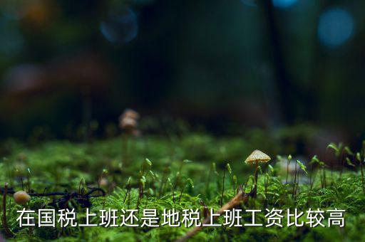地稅局發(fā)展如何，我要考天津稅務局想問市區(qū)各地稅局和濱海地稅一分局哪個好呢
