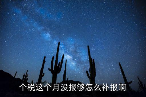 如何補報個人所得稅，個人所得稅報錯了怎么補報