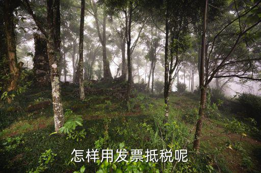 慈善發(fā)票如何抵稅，怎樣用發(fā)票抵稅呢
