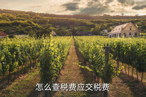 如何查詢已繳稅款，用友具體項(xiàng)目已交稅金在哪里查詢