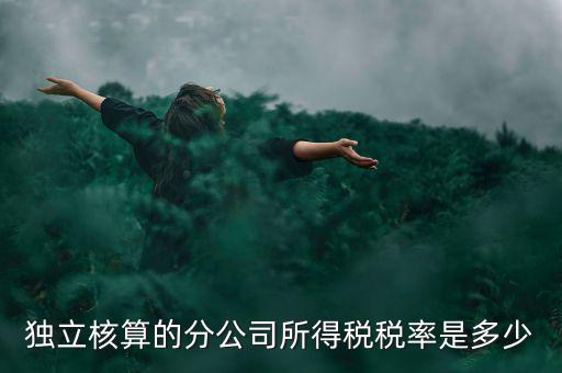 獨(dú)立核算的分公司如何納稅，誰知道獨(dú)立核算的同城分公司如何繳稅