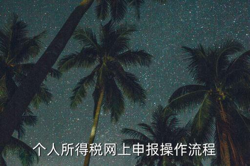 上海個人所得稅如何申報，上海企業(yè)如何交個人所得稅