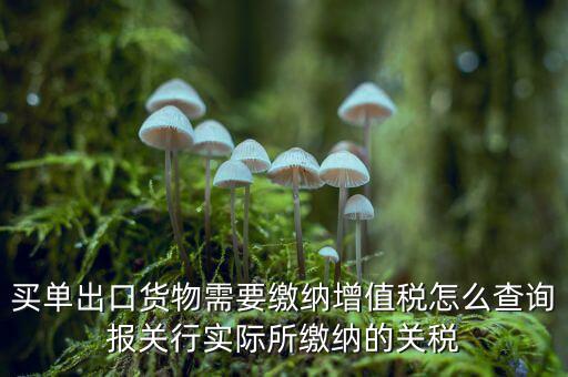 買(mǎi)單出口貨物需要繳納增值稅怎么查詢(xún)報(bào)關(guān)行實(shí)際所繳納的關(guān)稅