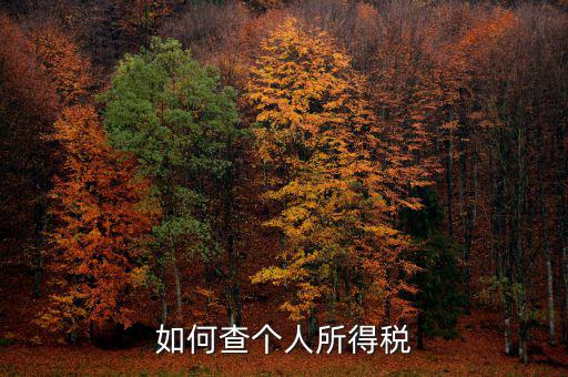如何查詢(xún)個(gè)人所得稅，個(gè)人所得稅查詢(xún)