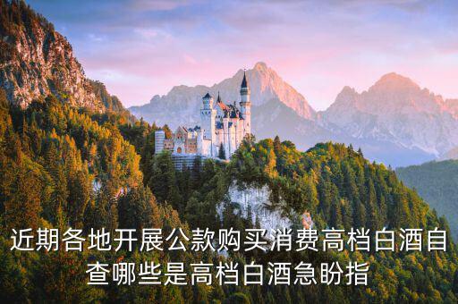 稅局如何排查高檔白酒，公款禁買高檔酒可行嗎能實施成功嗎