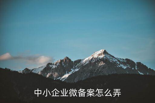 小微企業(yè)備案如何辦理流程，小型微型企業(yè)如何備案去哪辦理