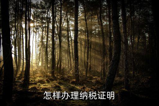 廈門如何做假的納稅證明，怎樣辦理納稅證明