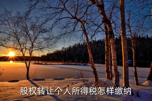 股權轉(zhuǎn)讓個人所得稅怎樣繳納