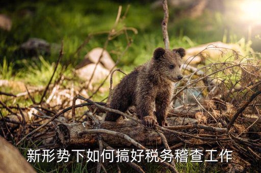 如何完善稅務(wù)一級稽查工作，新形勢下如何搞好稅務(wù)稽查工作