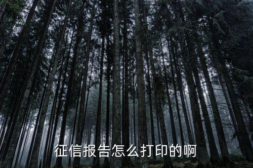 如何打印納稅信用等級(jí)，征信報(bào)告怎么打印的啊