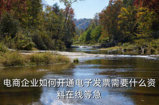 電子發(fā)票如何申領(lǐng)，京東電子發(fā)票如何獲取