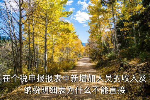 個(gè)稅申報(bào)如何增加新納稅人，在個(gè)稅申報(bào)報(bào)表中新增加人員的收入及納稅明細(xì)表為什么不能直接