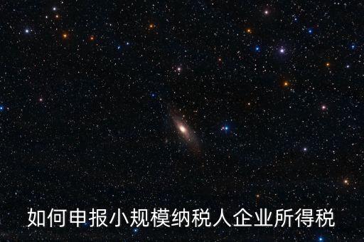 小規(guī)模納稅人如何報企業(yè)所得稅，如何申報小規(guī)模納稅人企業(yè)所得稅
