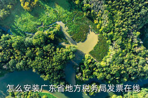 如何安裝珠海地稅在線開票，怎么安裝廣東省地方稅務(wù)局發(fā)票在線