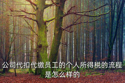 如何代扣代繳個人所得稅，代扣代繳個人所得稅