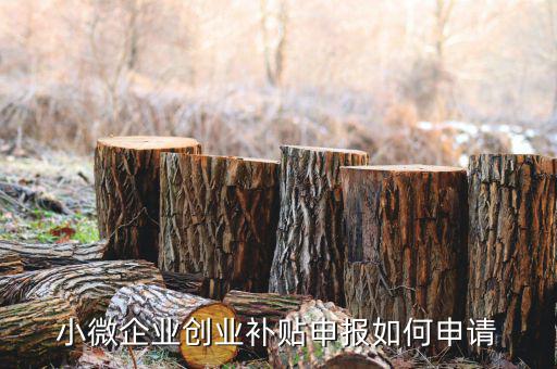 小型微利企業(yè)如何申請社保補貼，小微企業(yè)補貼怎么申請
